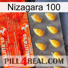 Nizagara 100 new01